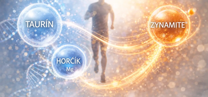 Energia bez kávy: prečo kombinácia taurínu, horčíka a Zynamite® funguje inak než kofeín