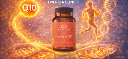 Koenzým Q10 a energia buniek – pre koho má zmysel