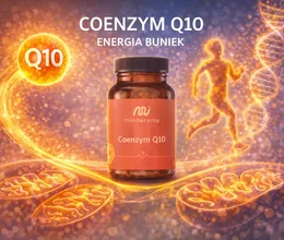 Koenzým Q10 a energia buniek – pre koho má zmysel
