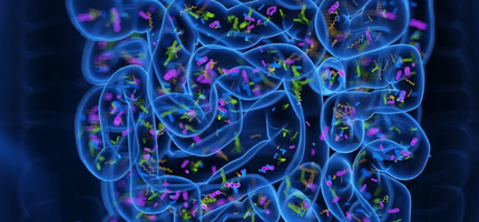 Mikrobióm ako stratený orgán: Ako bilióny mikroorganizmov ovplyvňujú naše zdravie