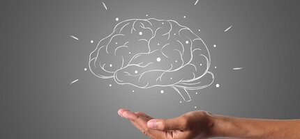 Podpora mozgu: ako Maca a prírodné doplnky zlepšujú koncentráciu a psychickú výkonnosť