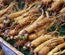 Bylinky na imunitu, ktoré naozaj fungujú. Prečo je kórejský ženšen číslo jeden