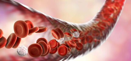 Regenerácia buniek: ako Energy Booster pomáha telu obnoviť energiu a vitalitu