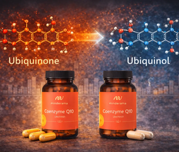 Ubichinón vs. ubichinol: rozdiel vo forme Q10