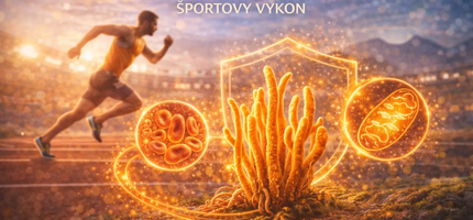 Cordyceps a športový výkon – fakty bez mýtov