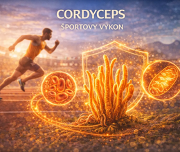Cordyceps a športový výkon – fakty bez mýtov