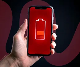 Energia a zlepšenie výkonnosti: Ako rastlinné extrakty môžu byť vašou tajnou zbraňou