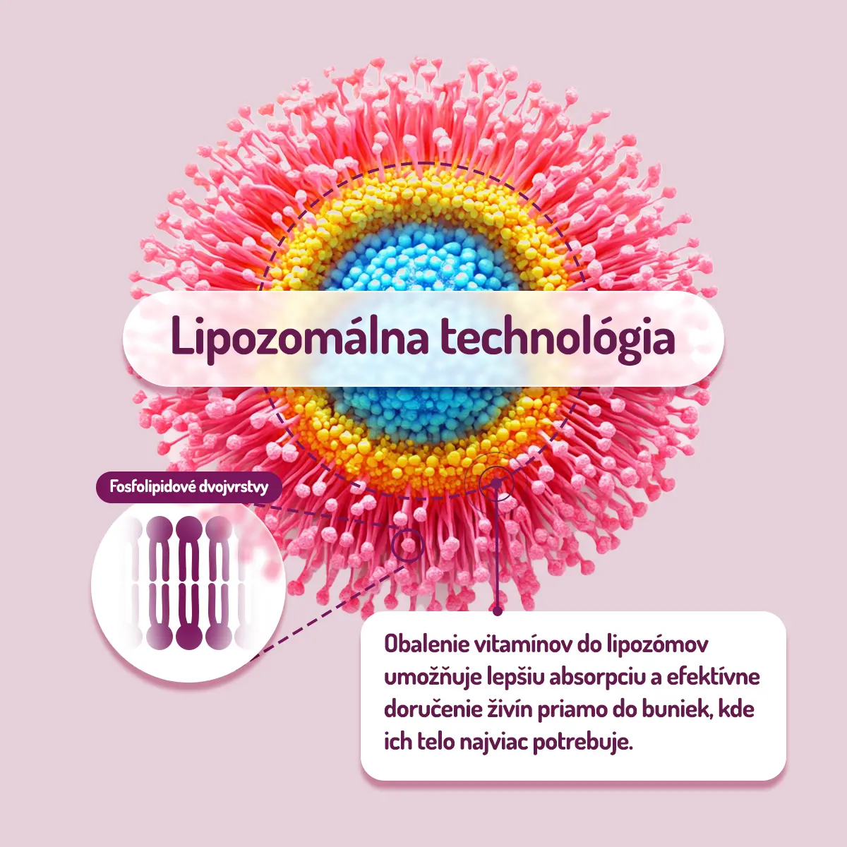 Načo berieš ten vitamín, keď sa ti aj tak len motá v črevách? Prehĺtaš len peniaze, nie vitamíny?