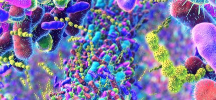 Prečo sa cítiš zle, hoci si zdravý? Tvoj mikrobióm môže mať odpoveď. e-book ZDARMA