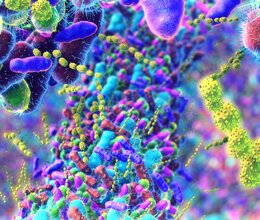 Prečo sa cítiš zle, hoci si zdravý? Tvoj mikrobióm môže mať odpoveď. e-book ZDARMA